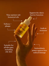 Afbeelding in Gallery-weergave laden, Golden Haze Face Oil